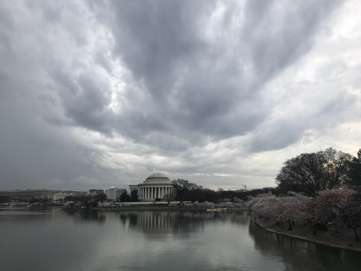 2017-03-28 08.44.59.jpg