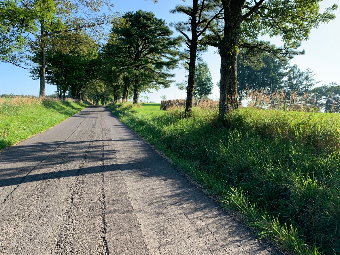 2019-08-08 08.28.41.jpg